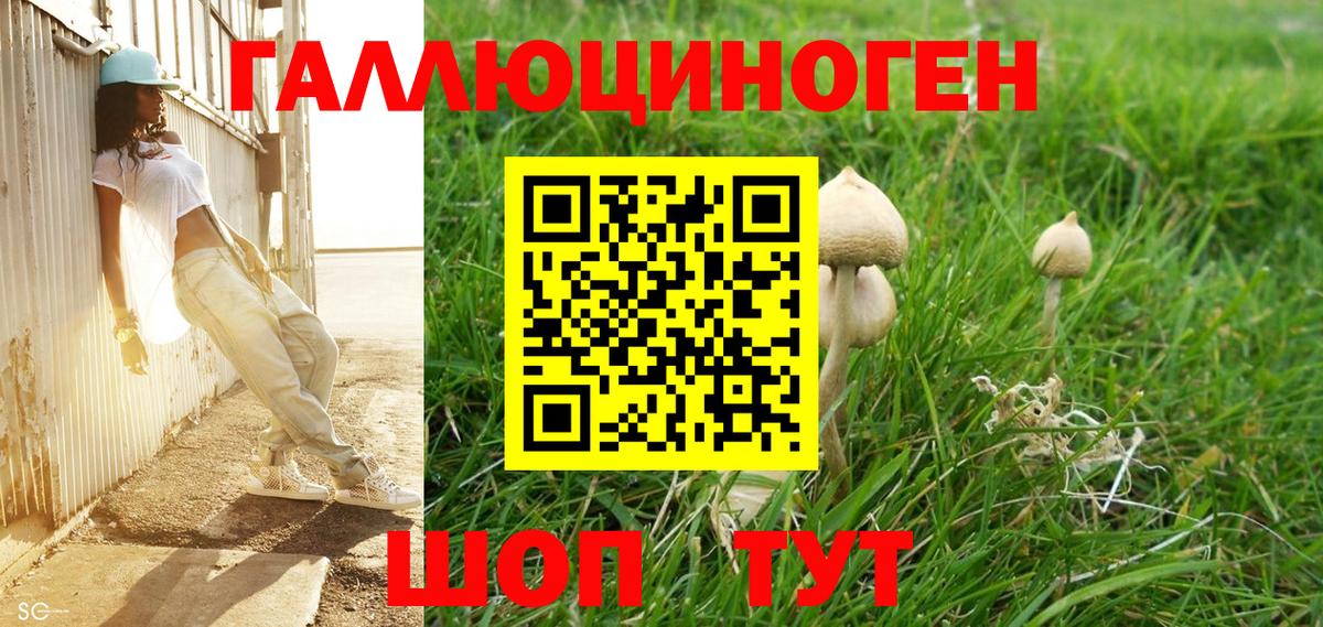 Псилоцибиновые грибы ЛСД Ялта