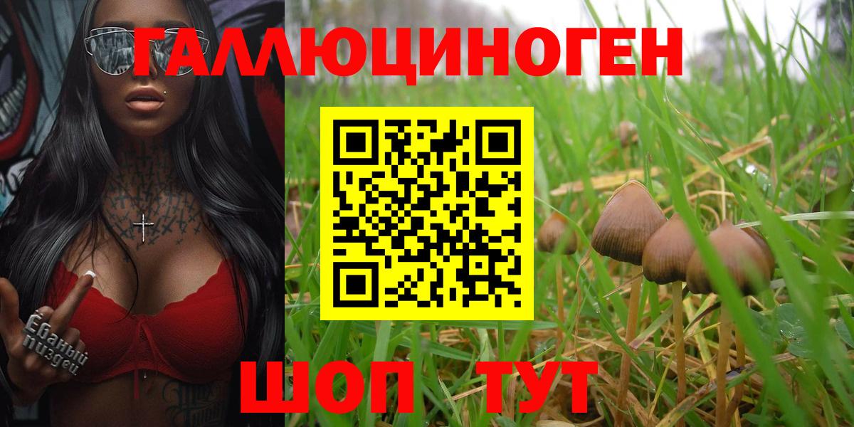 Псилоцибиновые грибы ЛСД  Вход с VPN  Ялта 